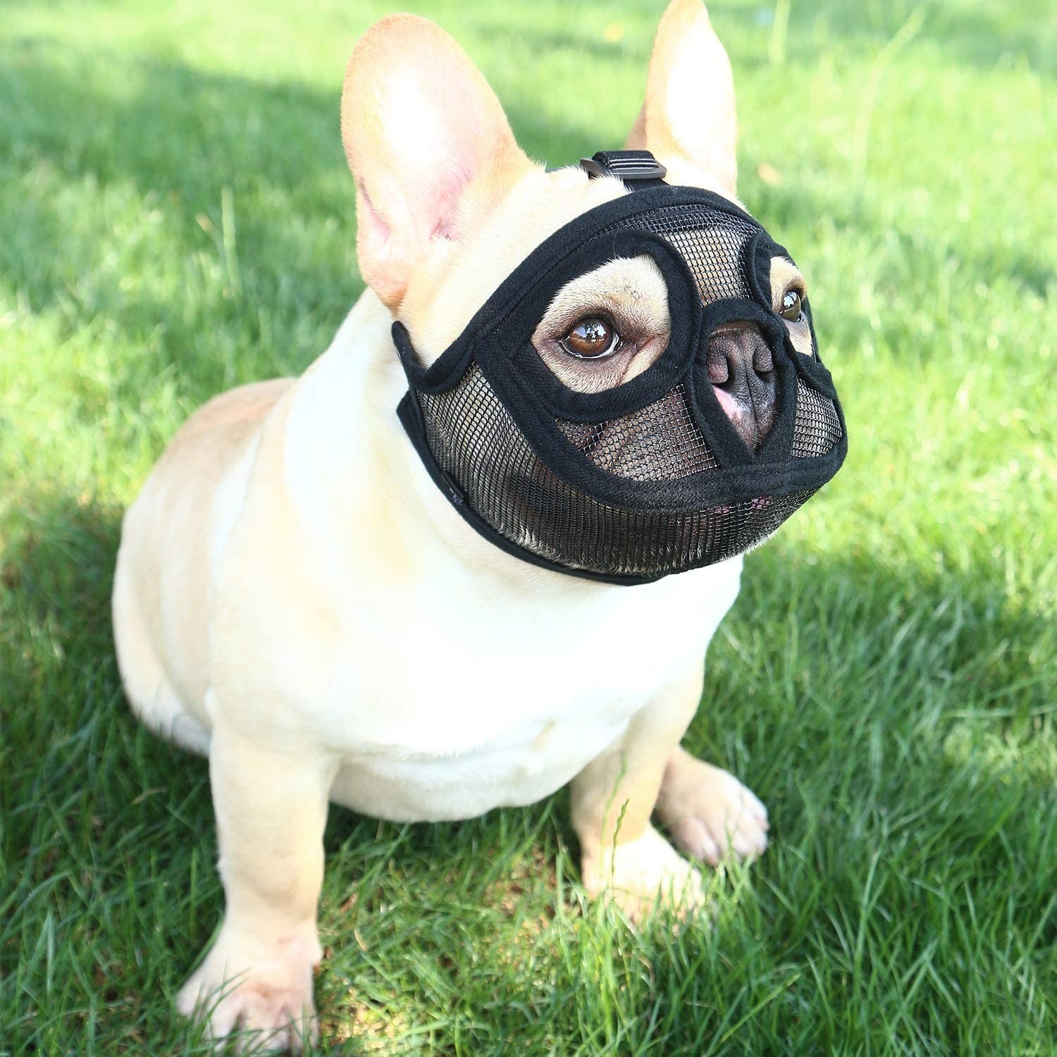 Short Snout Dog Muzzle - Adjustable Breathable Mesh Bulldog Muzzle for Barkin...
