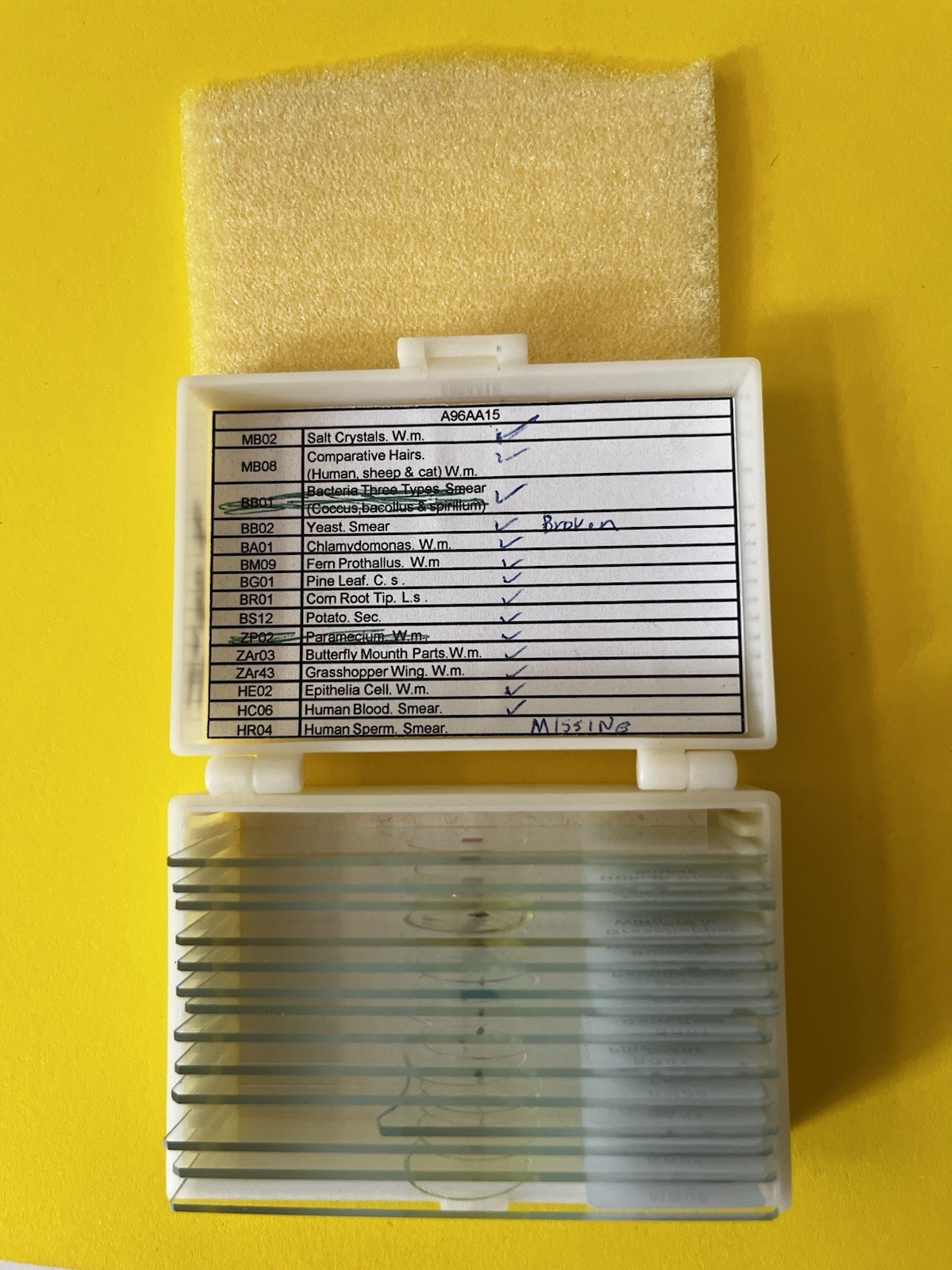 14 Prepared Slides w/Plastic Box in Basic Science Set A (Biology)
