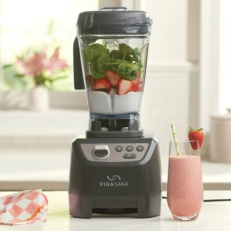 Princess House Vida Sana NEW GRAY BLENDER.