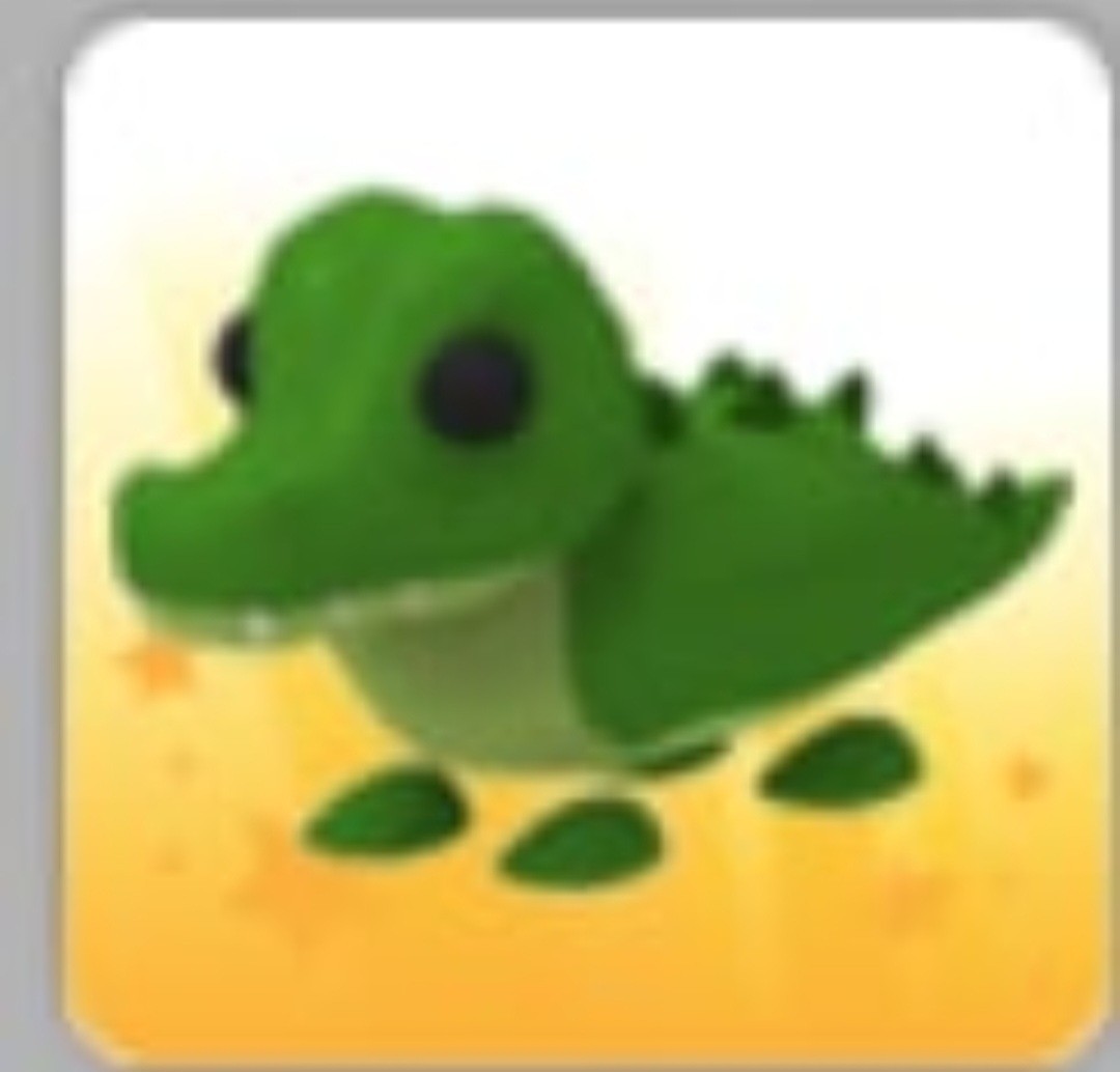 Crocodile | Adopt Now