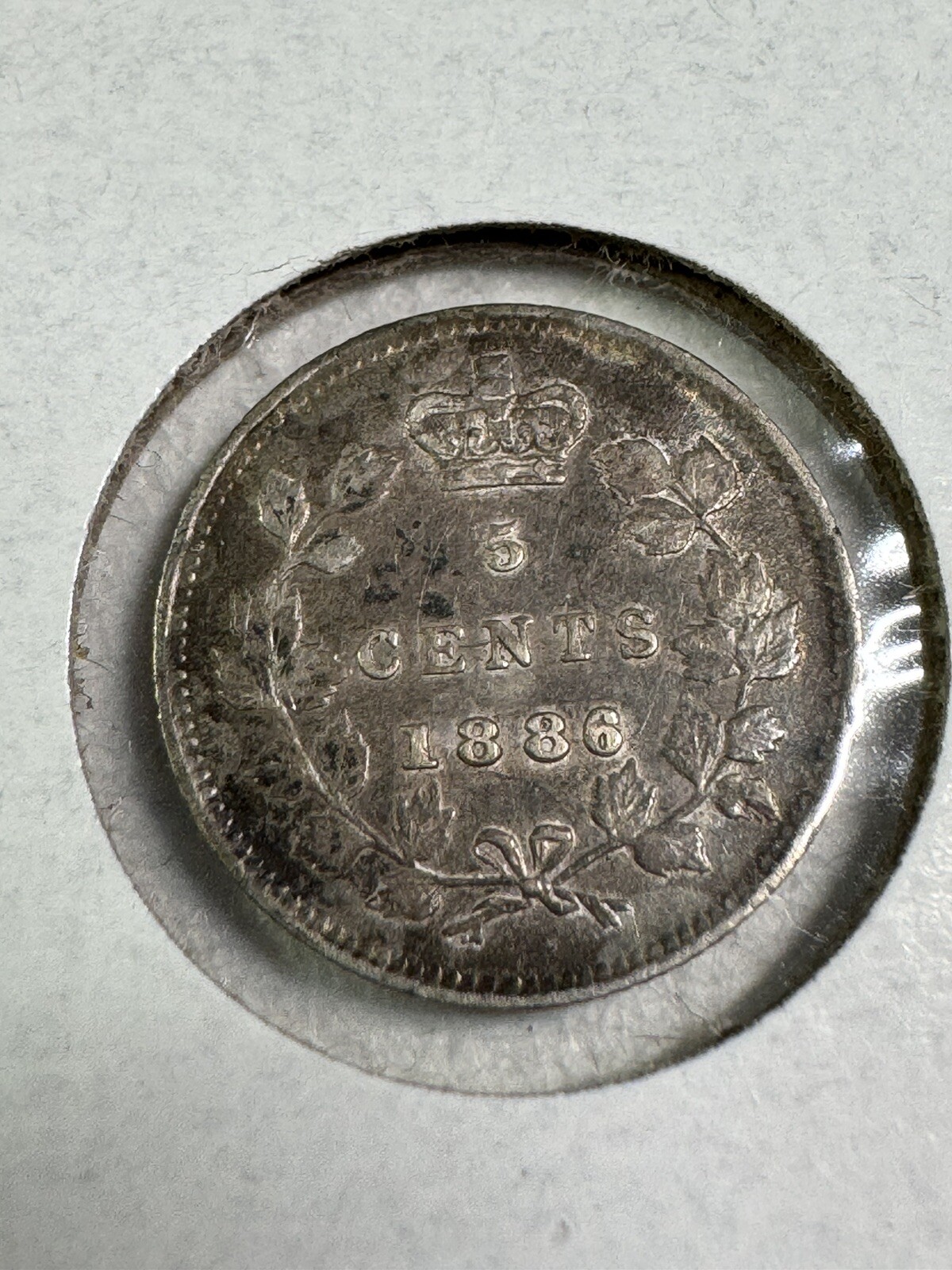 1886 Canada 5 Cents Small Silver Coin Small 6 Cleaned