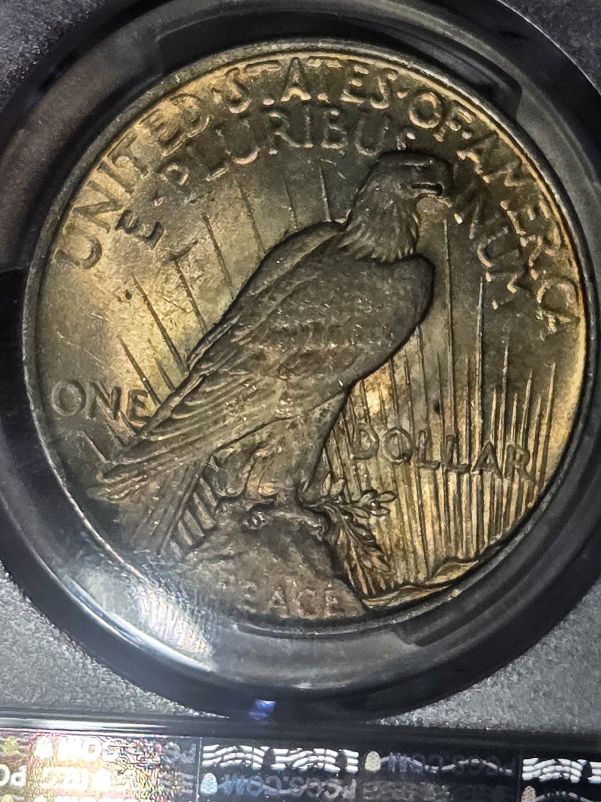 1922 $1 Peace Dollar PCGS MS63 Toned