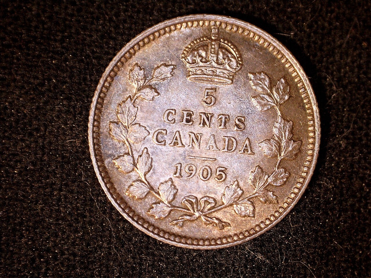 Canada 1905  5 cents, old silver world coin BU  #0139 litr nice tone