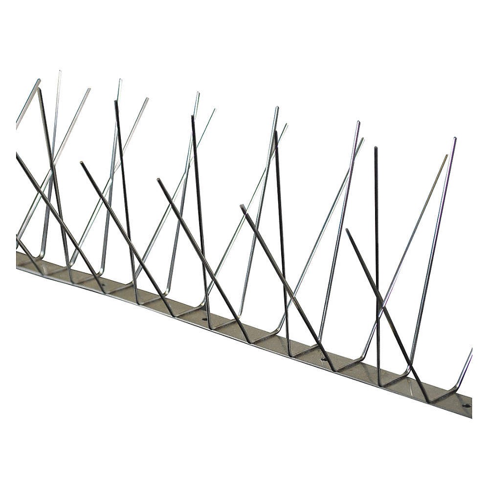BIRD BARRIER BP-S650 Bird Repellent Spikes,51 ft L,8 in W 35HX43