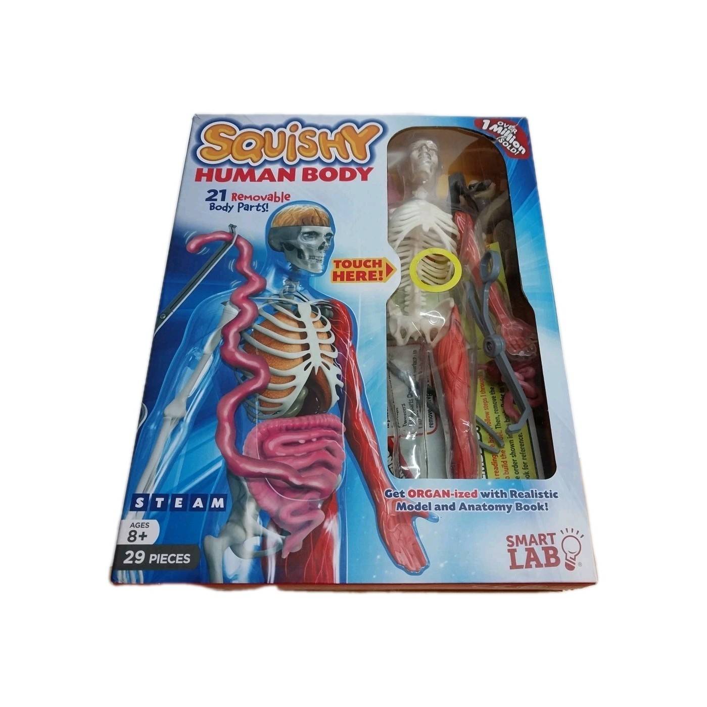 Smart Lab Human Body with 21 Removable Body Parts with Anatomy Book