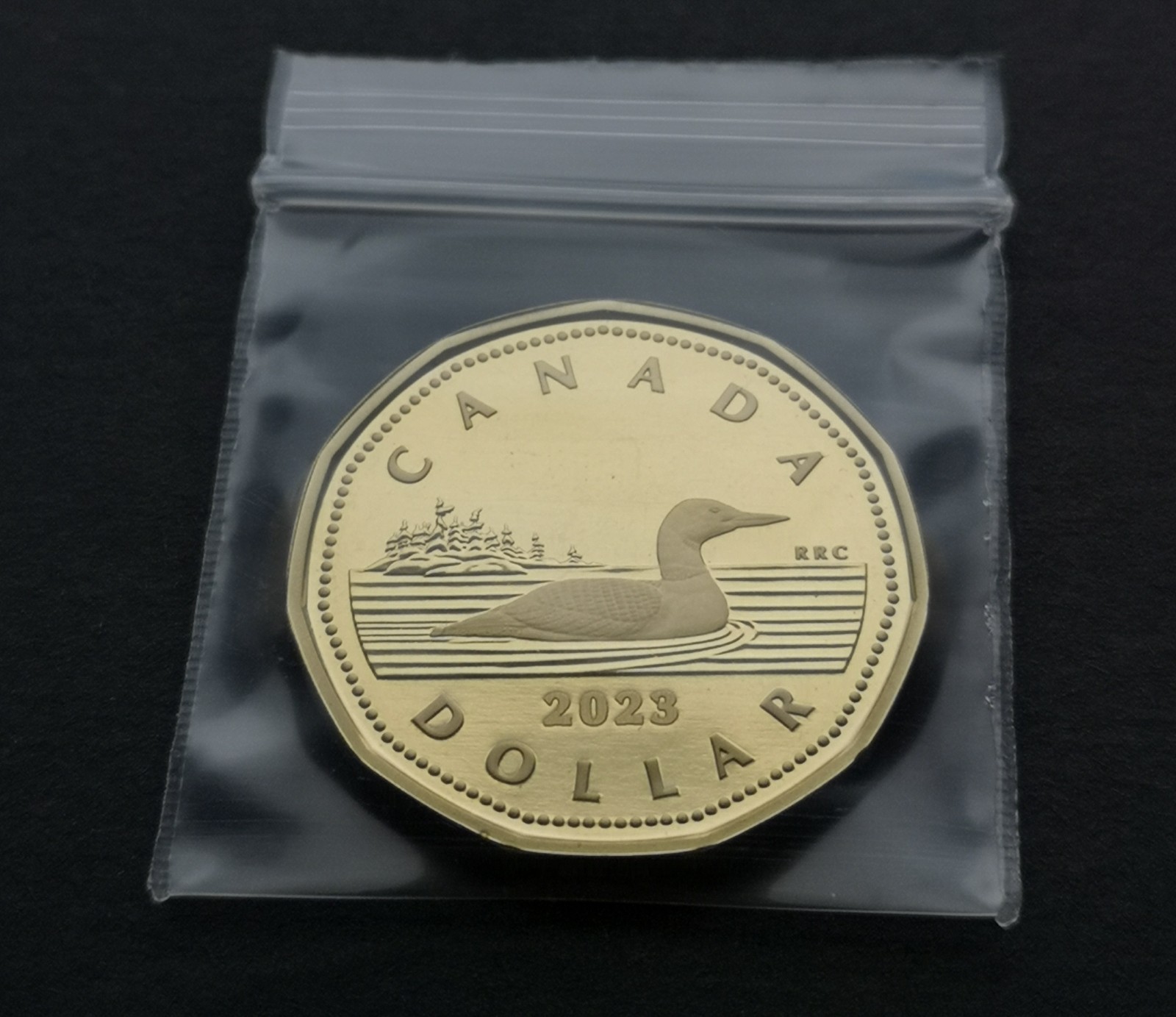 *** CANADA  LOONIE  2023 *** ULTRA  HEAVY  CAMEO *** PROOF  FINISH  STEEL ***