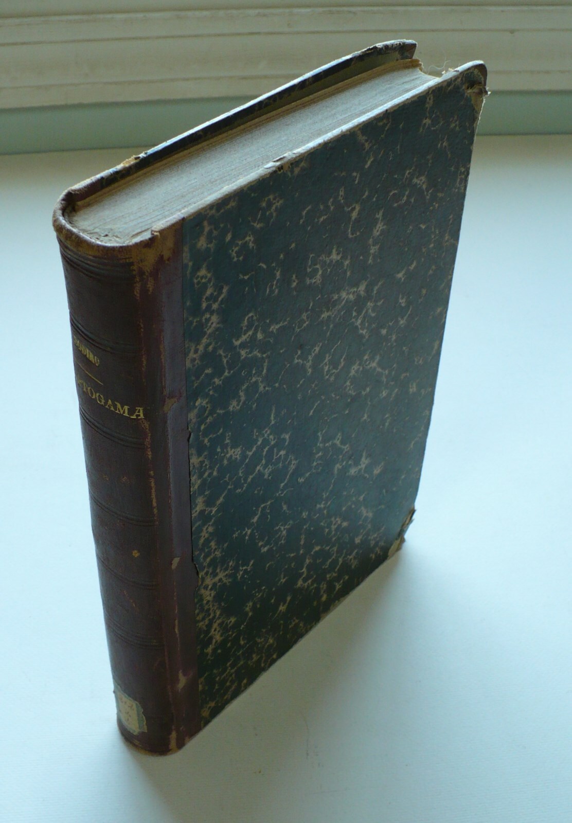 RARE IMPORTANT 1893 ECUADOR FLORA BOTANY BOOK CRYPTOGAMAE BY ALOISIO SODIRO