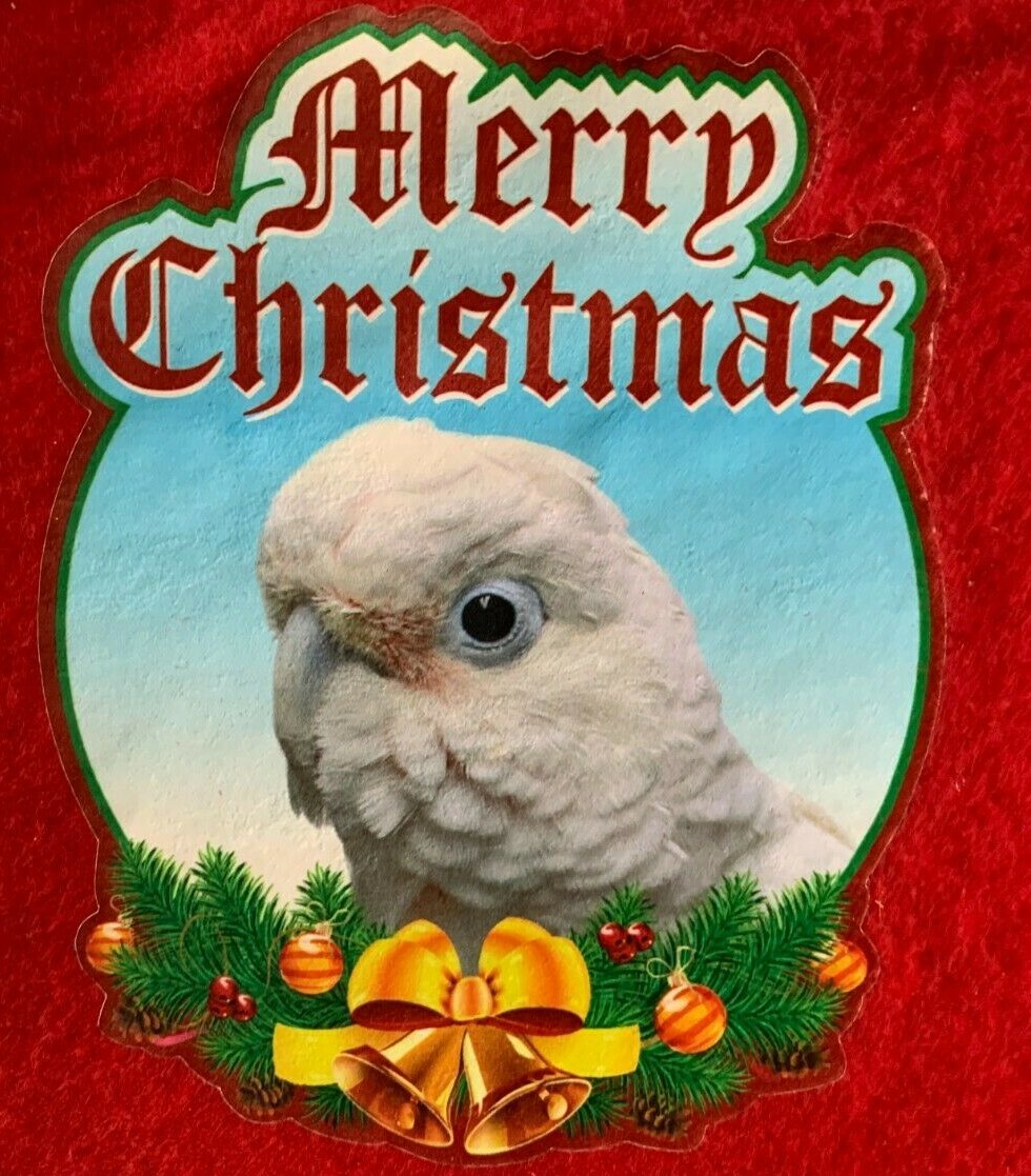SALE!  Goffin's Cockatoo Parrot Exotic Bird Holiday Christmas Stockings