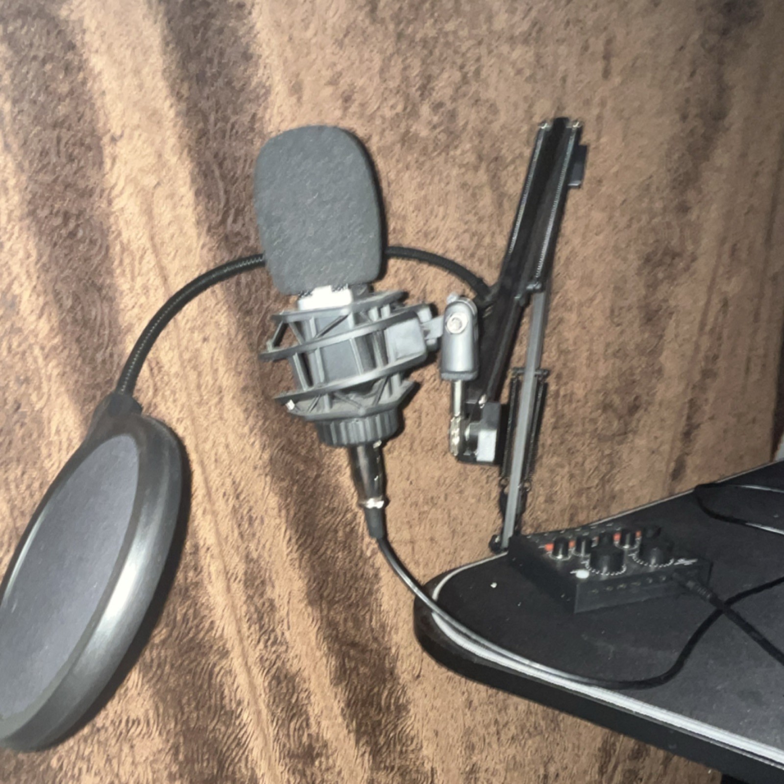 Condenser Microphone Large Diaphragm Wired Black w/ Adjustable Stand Pop Filter