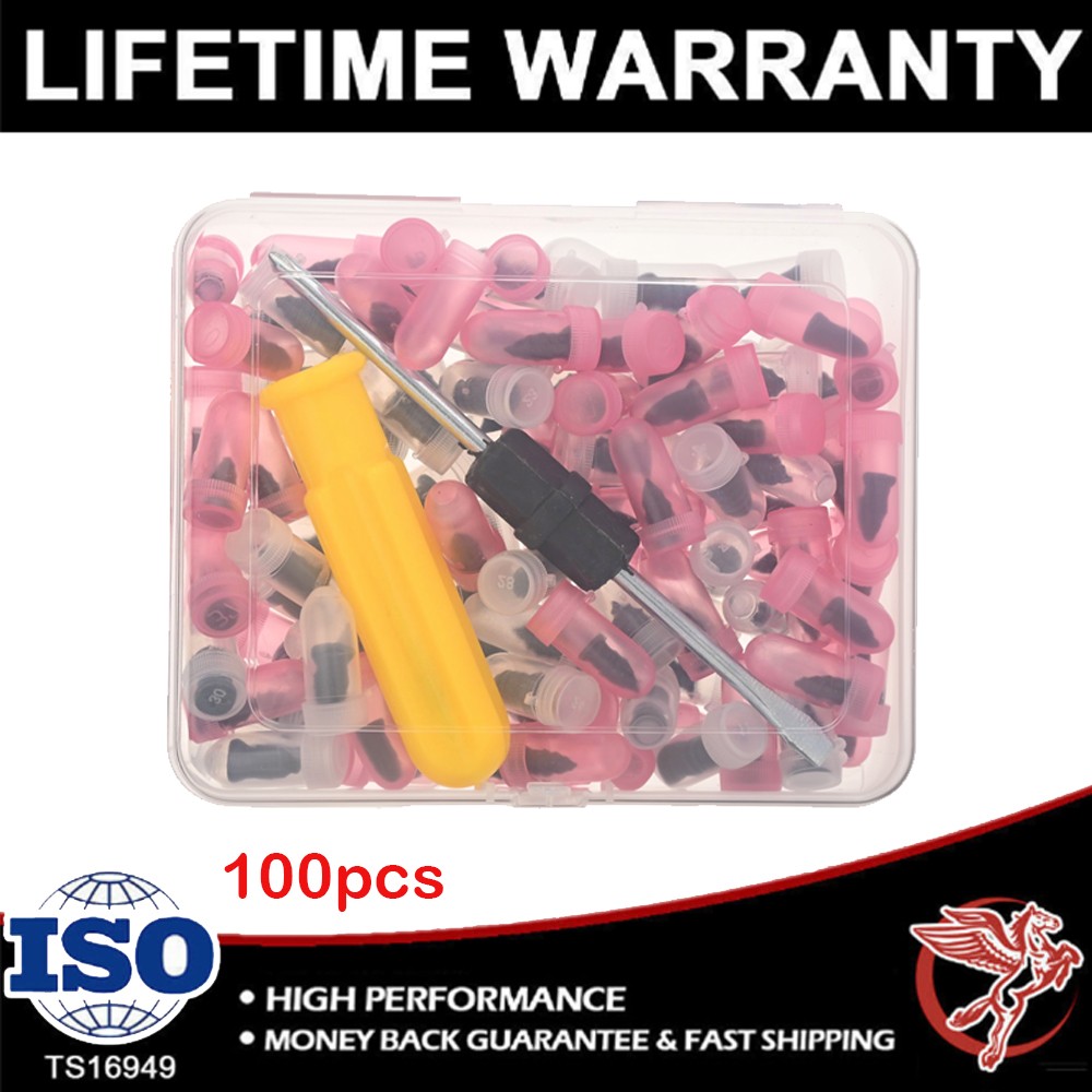 100PCS Tire Repair Screws Kit With Screwdriver 3 Sizes Rubber Plugs Flat Tires