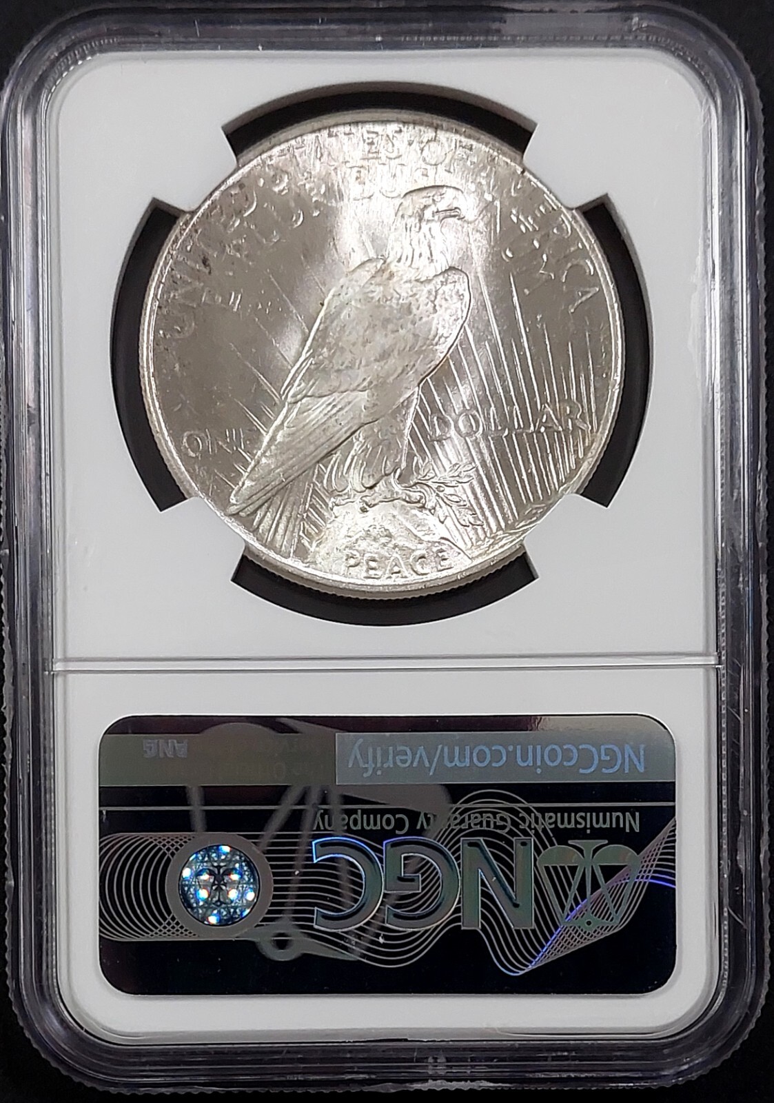 1925 Peace Dollar certified MS 67 by NGC!