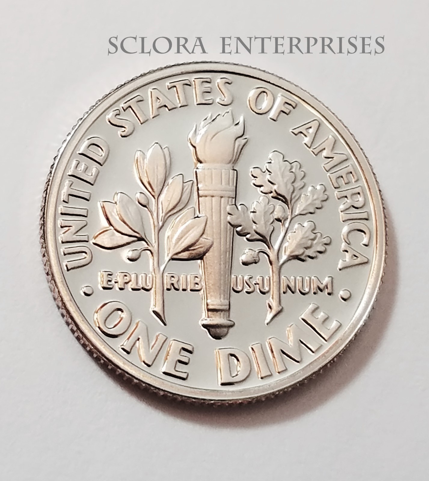 1984 S Roosevelt *PROOF* Dime **FREE SHIPPING**