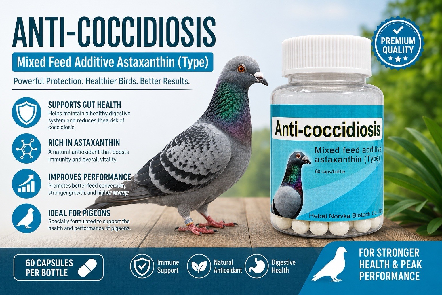 Anti- Coccidiosis For Pigeons