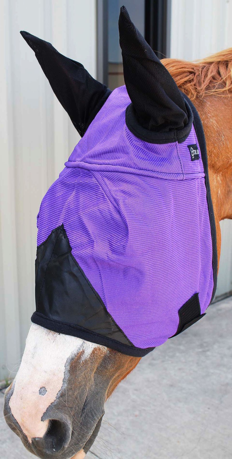 Equine Horse  FlyMask Summer Spring Airflow Mesh    73247A