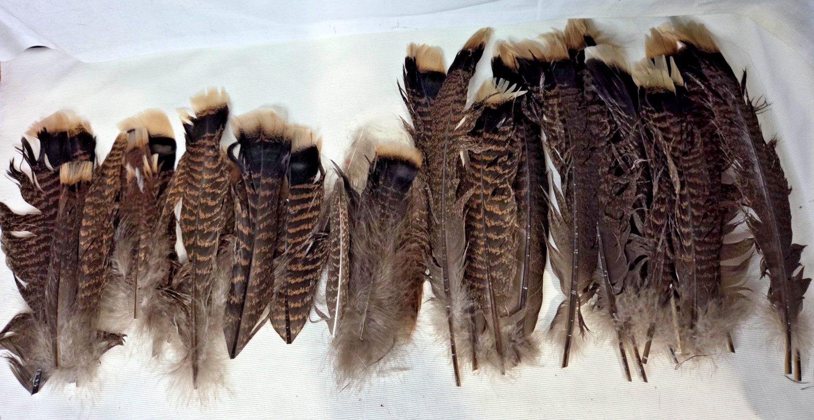 Lot of 39 Wild Turkey Body Feathers, art craft fishing fly tying Various Sizes