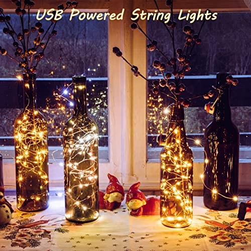 Pcs USB String Lights 33 ft 100 LED Fairy Lights Powered String 6 Warm White