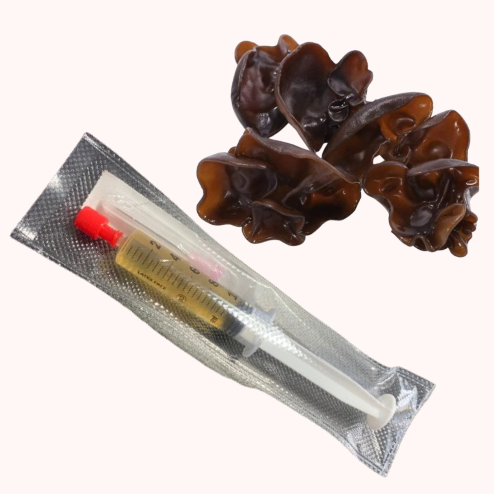 10 ml Black Fungus (Auricularia) Liquid Culture Mycelium – Mycology Research