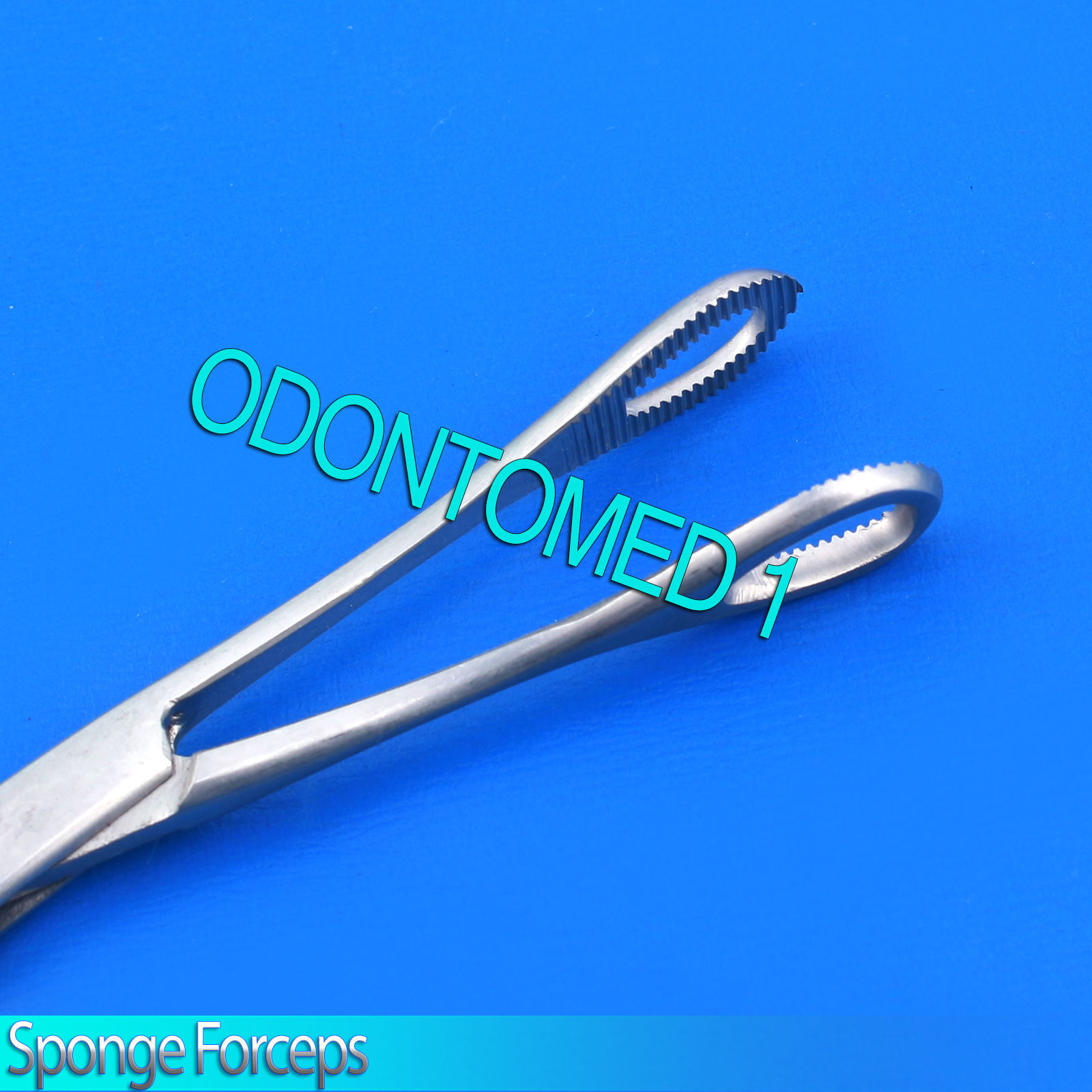 3 Sponge Holding Forceps Straight 6" Surgical Instruments