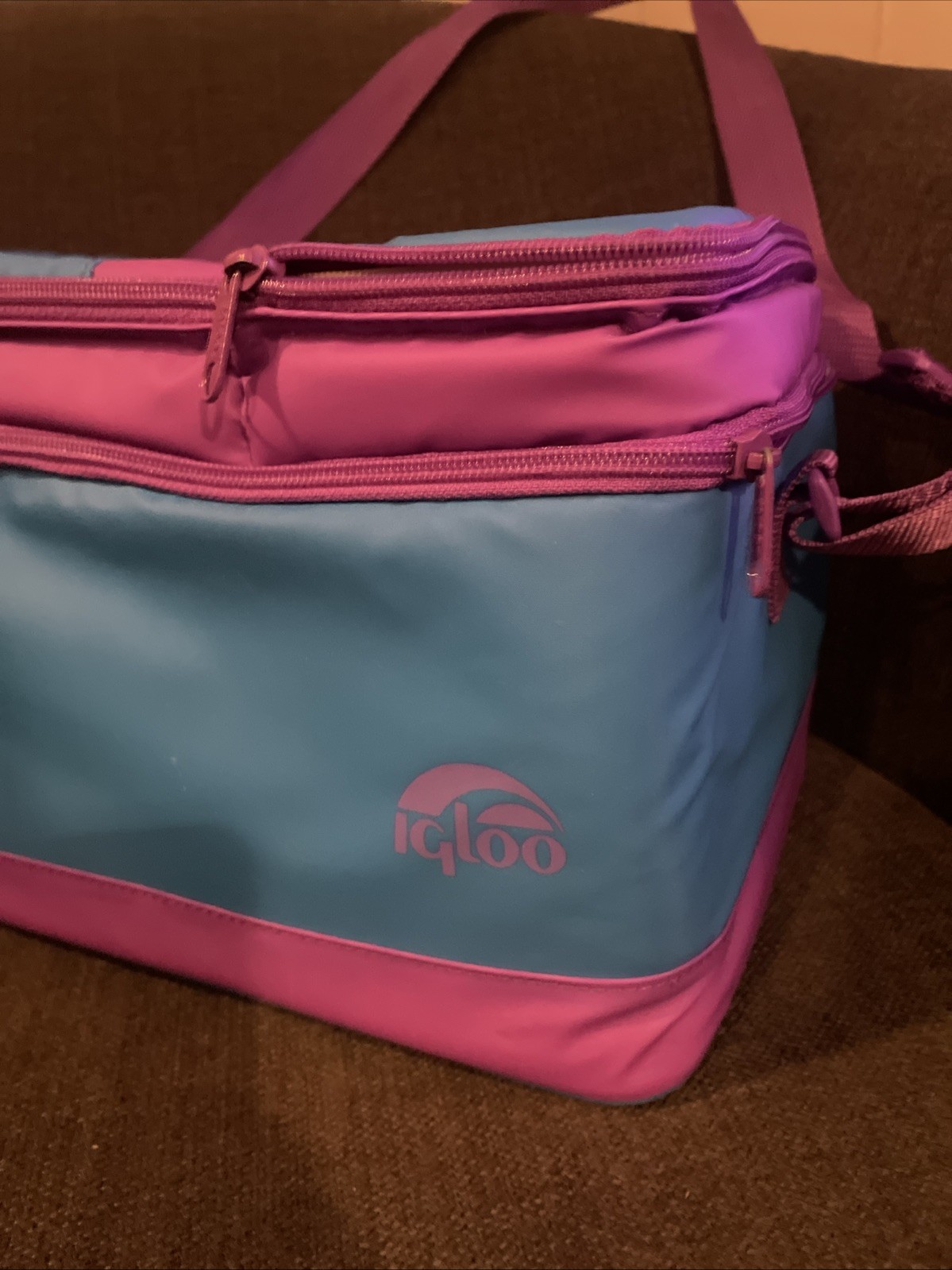 Igloo Collapsible And Cool Lunch Bag Cooler, Separate Snack And Sandwich Mint