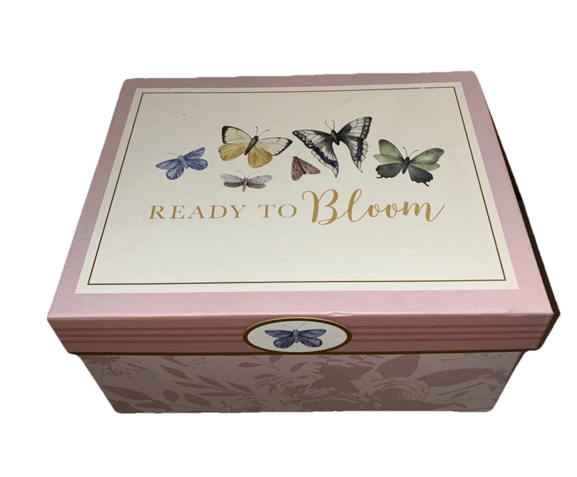 Modern Coastal Ready To Bloom Butterfly Rigid Hard Paperboard Large Storage Box