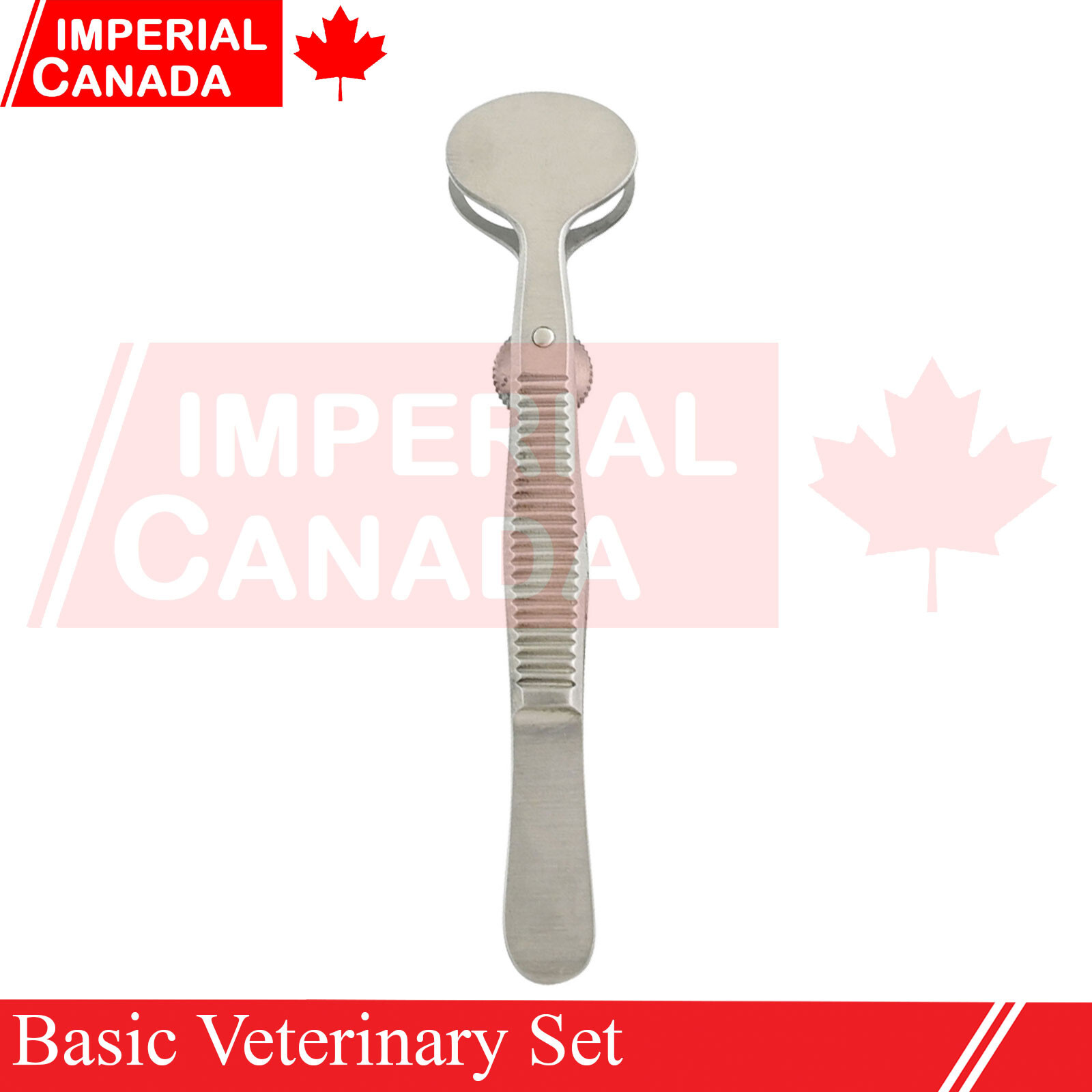6 Pcs Basic Veterinary Set Instruments Scalpel+Scissors+Needle Holder+Re DS-1968
