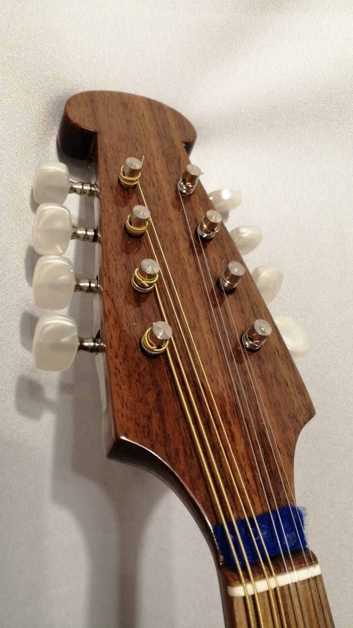 CALACE No.24 Mandolin
