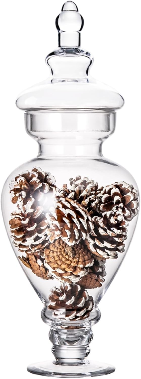 Large Apothecary Jars Glass, Clear Height: 15", Diameter: 6.7"