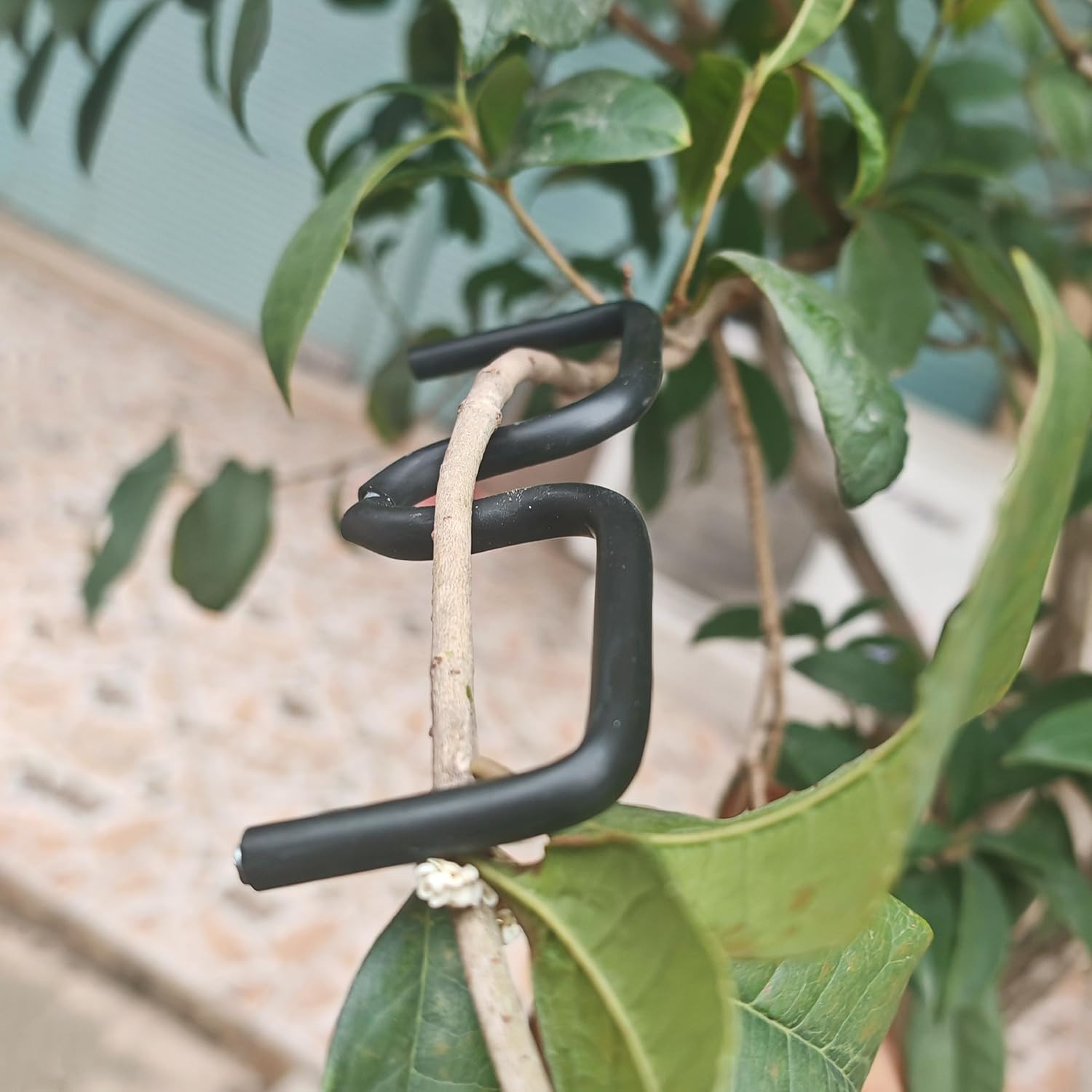 5.1 Inch Fruit Tree Limb Spreader 20pcs New Fruit Branch Spreader with Plasti...