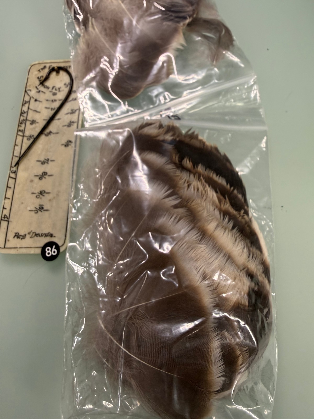 Speckled Goose Complete Flanks Right and Left side