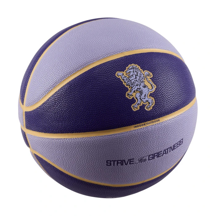 Nike Playground 2.0 8P LeBron James Deflated Basketball Size 7 (FULL SIZE)Purple