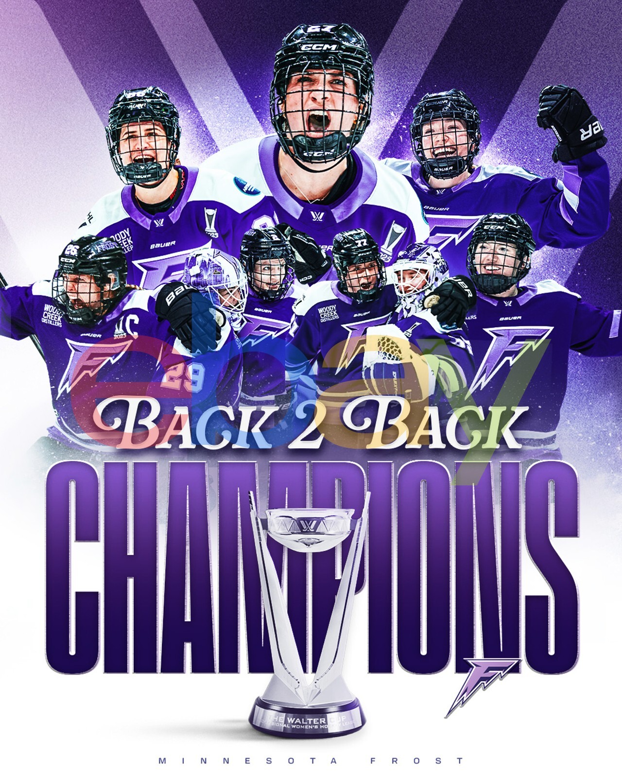 PWHL Minnesota Frost 2025 Walter Cup Champions Collage 8x10 PWHL Hockey Photo