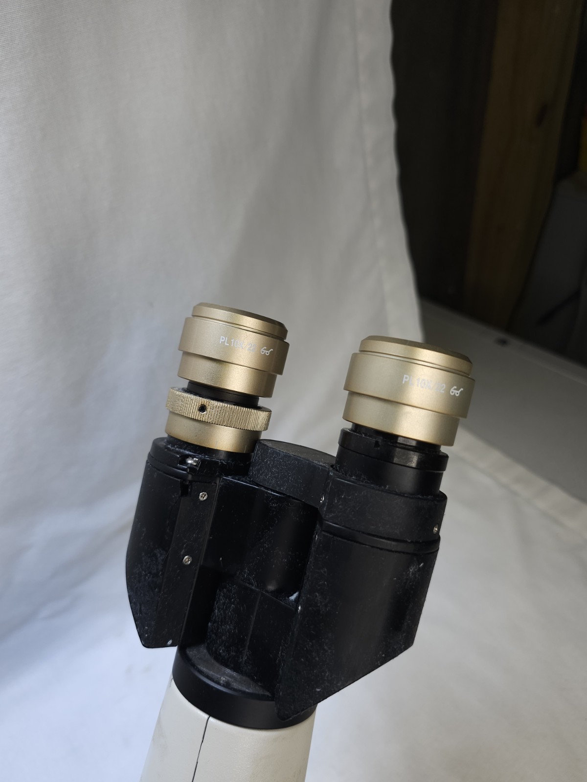 Fisher Scientific Micromaster Inverted Microscope 12575250