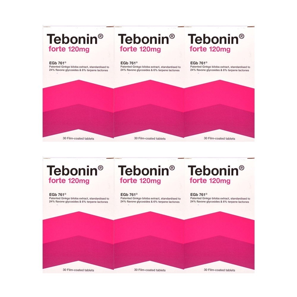 6x 30's Tebonin Forte 120mg Ginkgo Extract Support Concentration Free Shipping