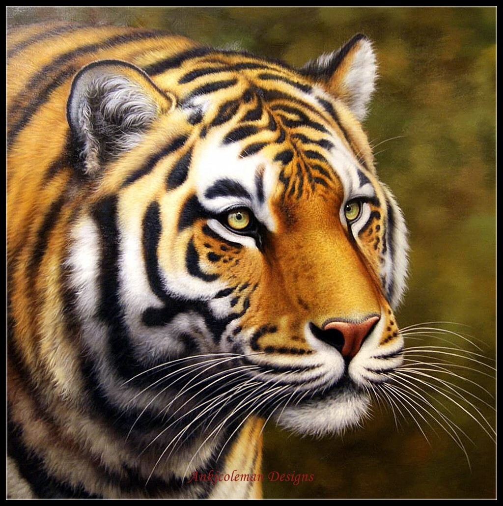 Portrait of Tiger - Counted Cross Stitch Patterns - Color & BW Symbols