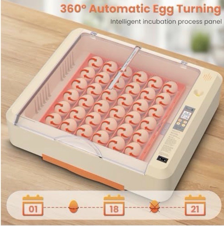 Egg Incubator with Auto Turning and Humidity Control, 36-60 Eggs Hatcher