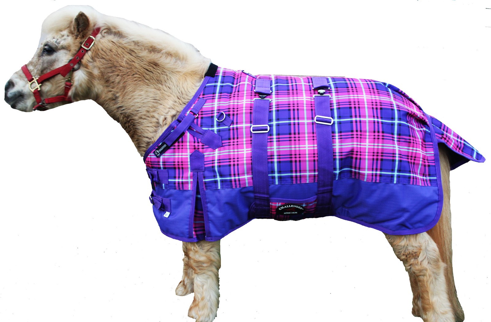 Challenger 1200D Miniature Weanling Donkey Pony Horse Foal Winter Blanket