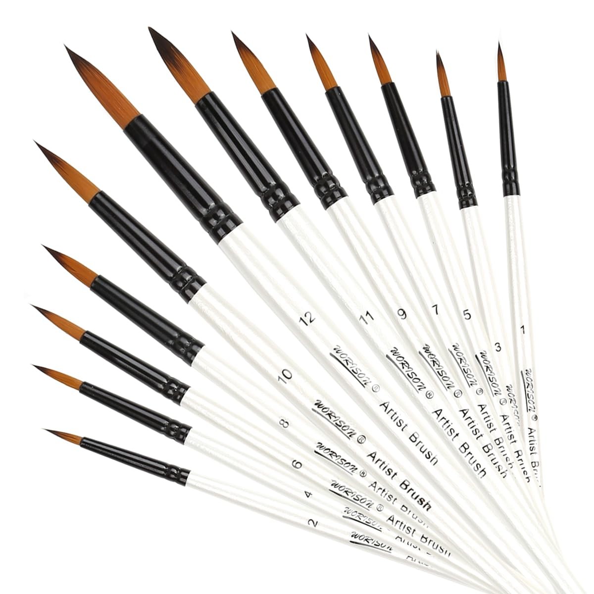 12 PCS round Paint Brushes Set, Artist Brush for Acrylic Watercolor Oil Painting