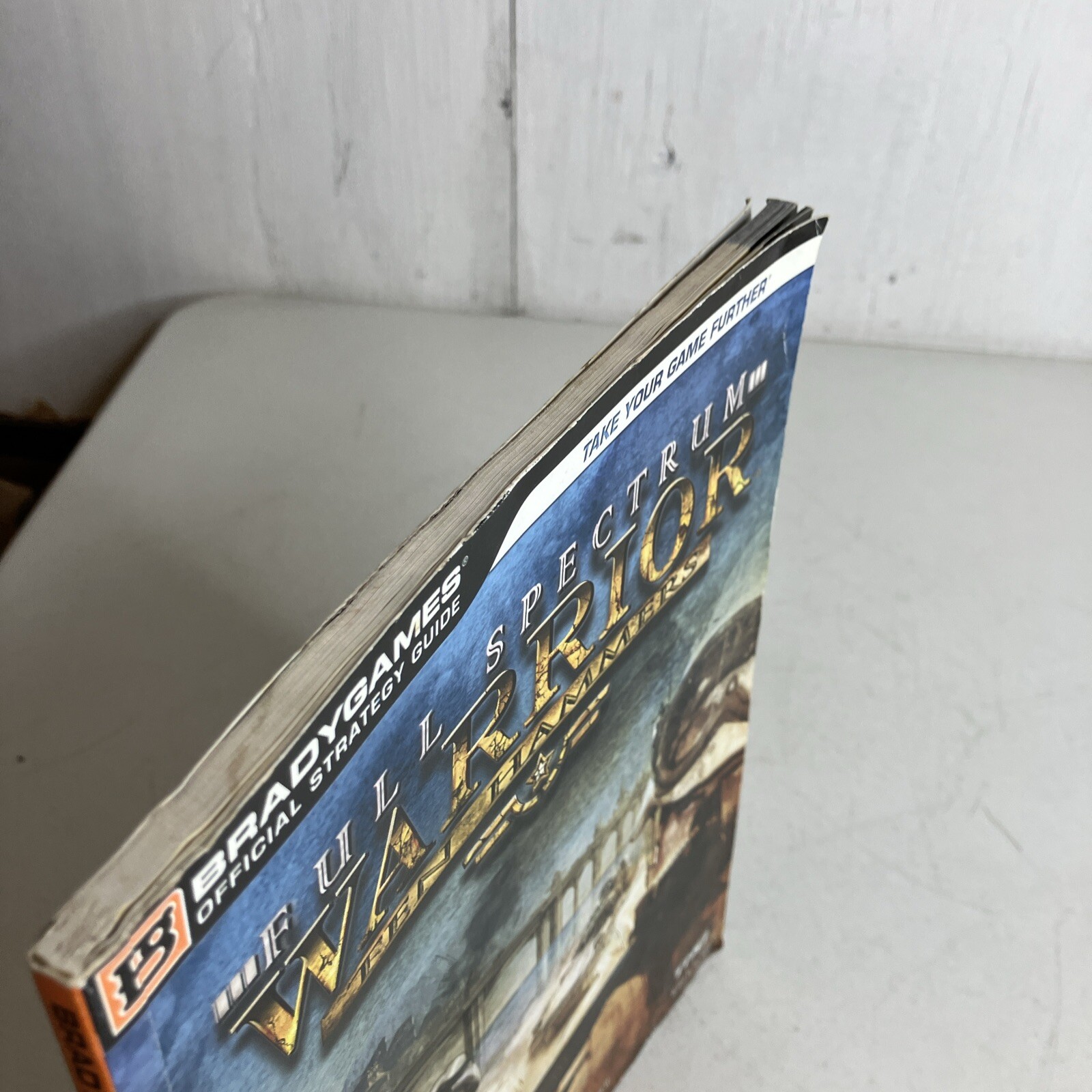 Full Spectrum Warrior Ten Hammers Brady Games Strategy Guide