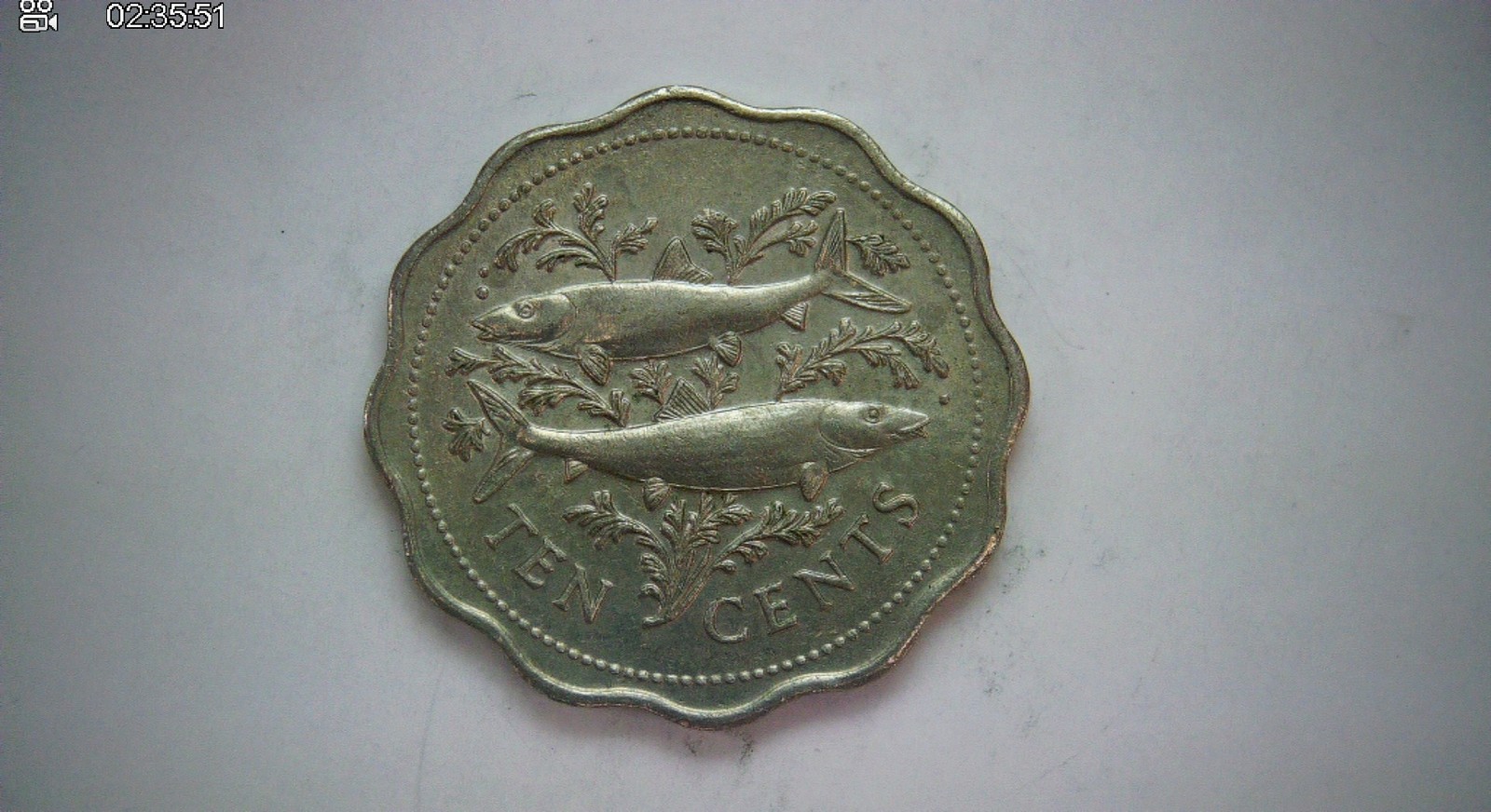 Bahamas 1980 10 Cents Bahamas scalloped 10 cents (bonefish) Coin