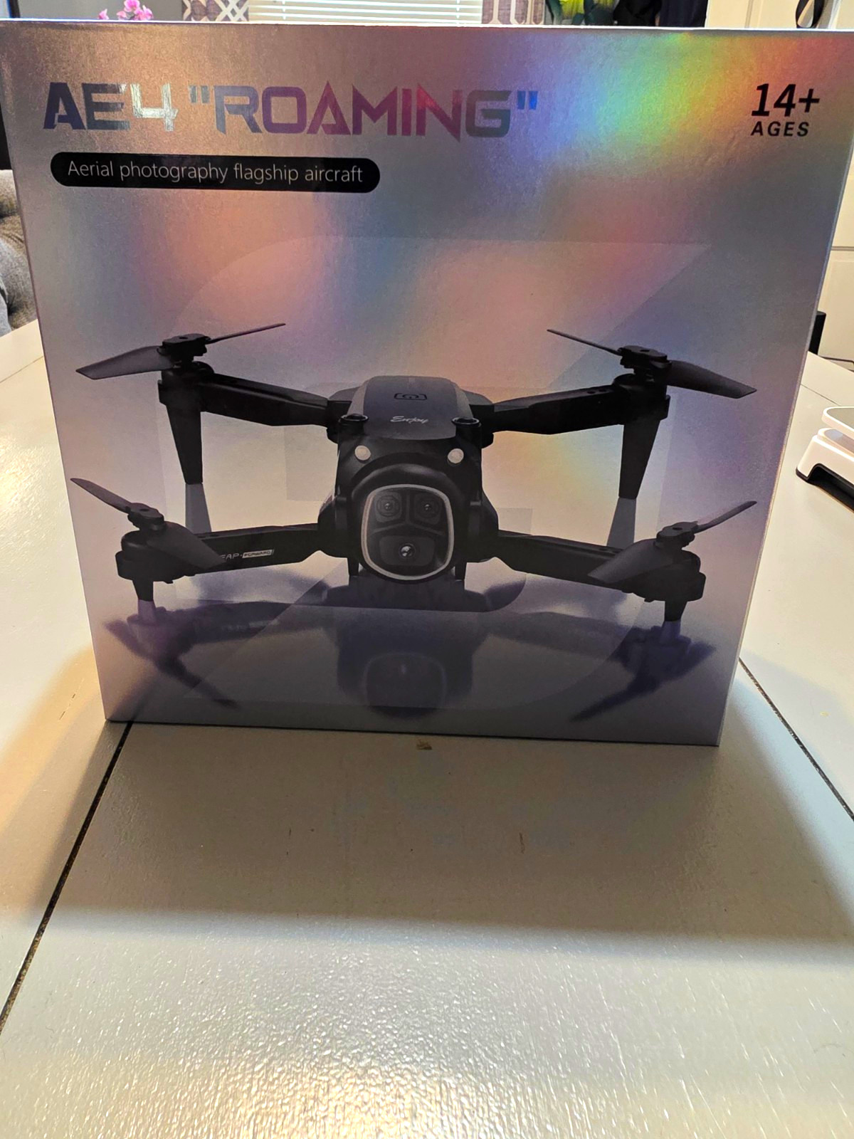 AE4 "ROAMING" Ready to Fly Drone w/ Dual Camera, 360° Roll, Remote Control