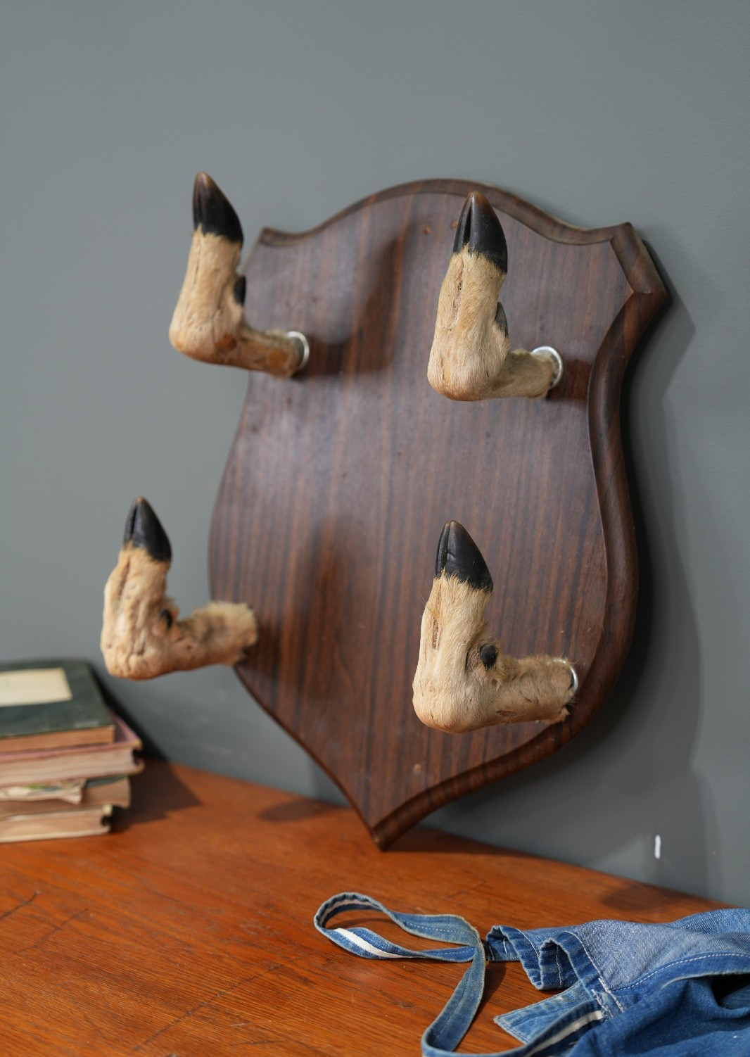 Vintage Taxidermy Deer Hoof Gun Bow Coat Rack Hook Wall Mount 4 Hooves plaque