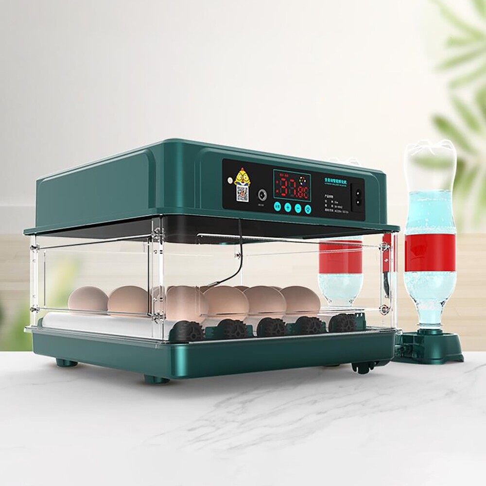10 Eggs Fully Automatic Intelligent Double Electric Incubator Household Chicken