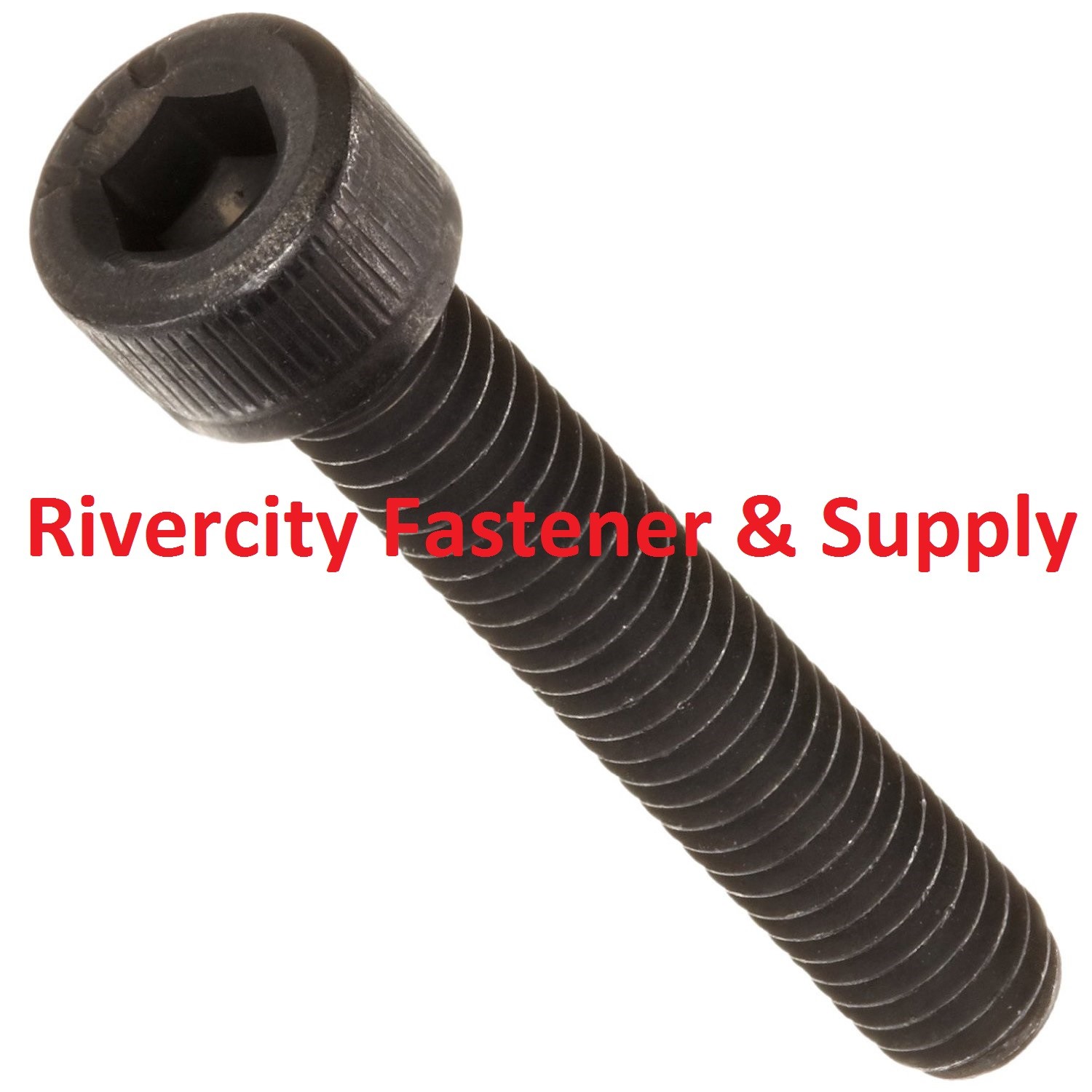 Motorized Bicycle / Bike Case Cover Screws For Sprocket Clutch & Magneto Cover