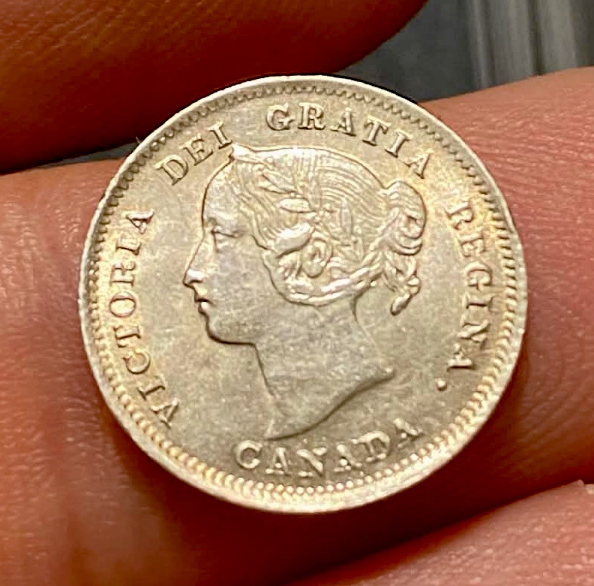 Canada, 1899 AR 5 Cents, Sharp, Lustre