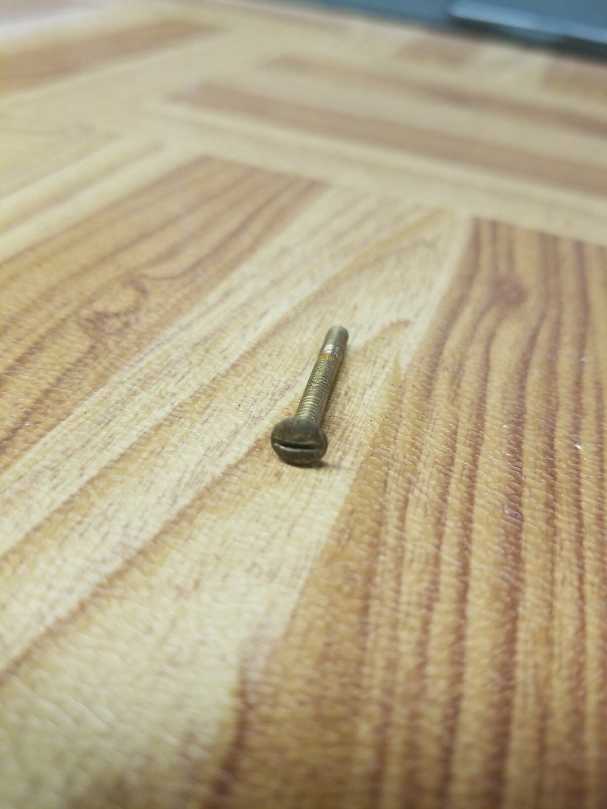 Lafayette model La 69 Face Plate Screw