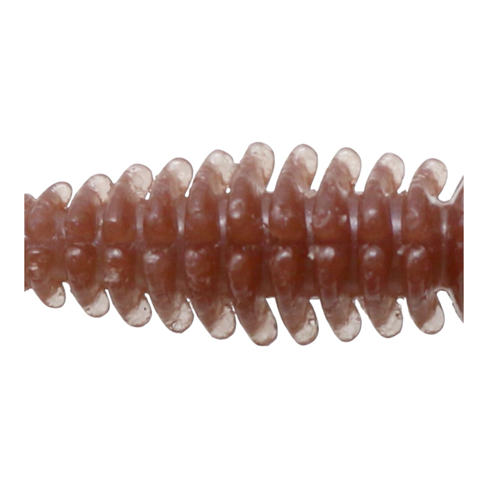 Issei Bibibi Bug - Choose Size & Color