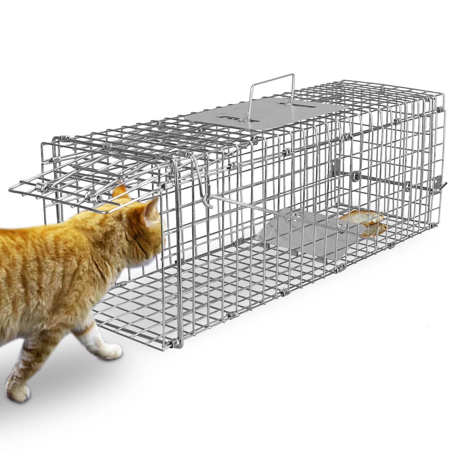 Steel Humane Live Animal Trap Yard Control Cage for Raccoon Cat Foxes Cage Trap