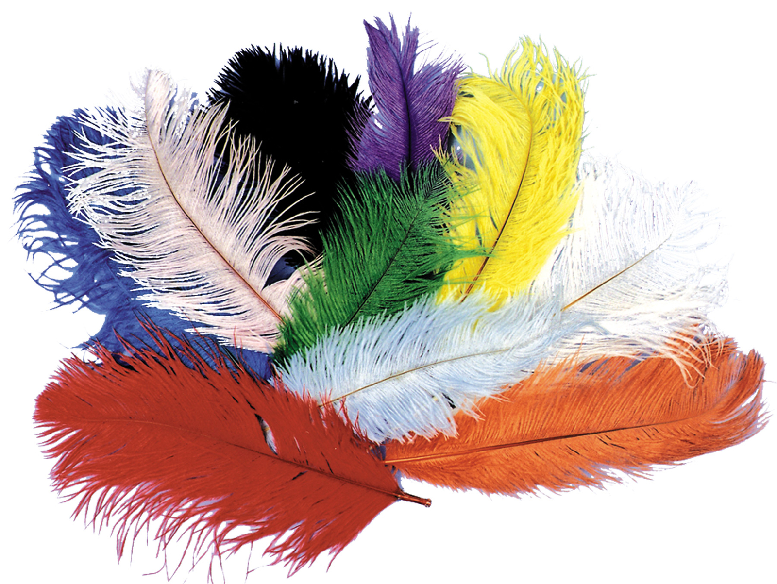 Ostrich Plumes - Costumes For All Occasions