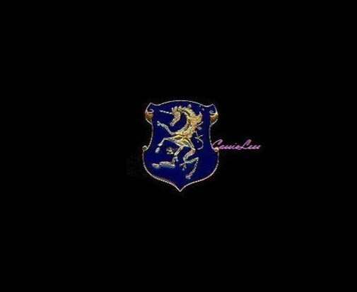 USA 6th Cavalry + a custom promo pin