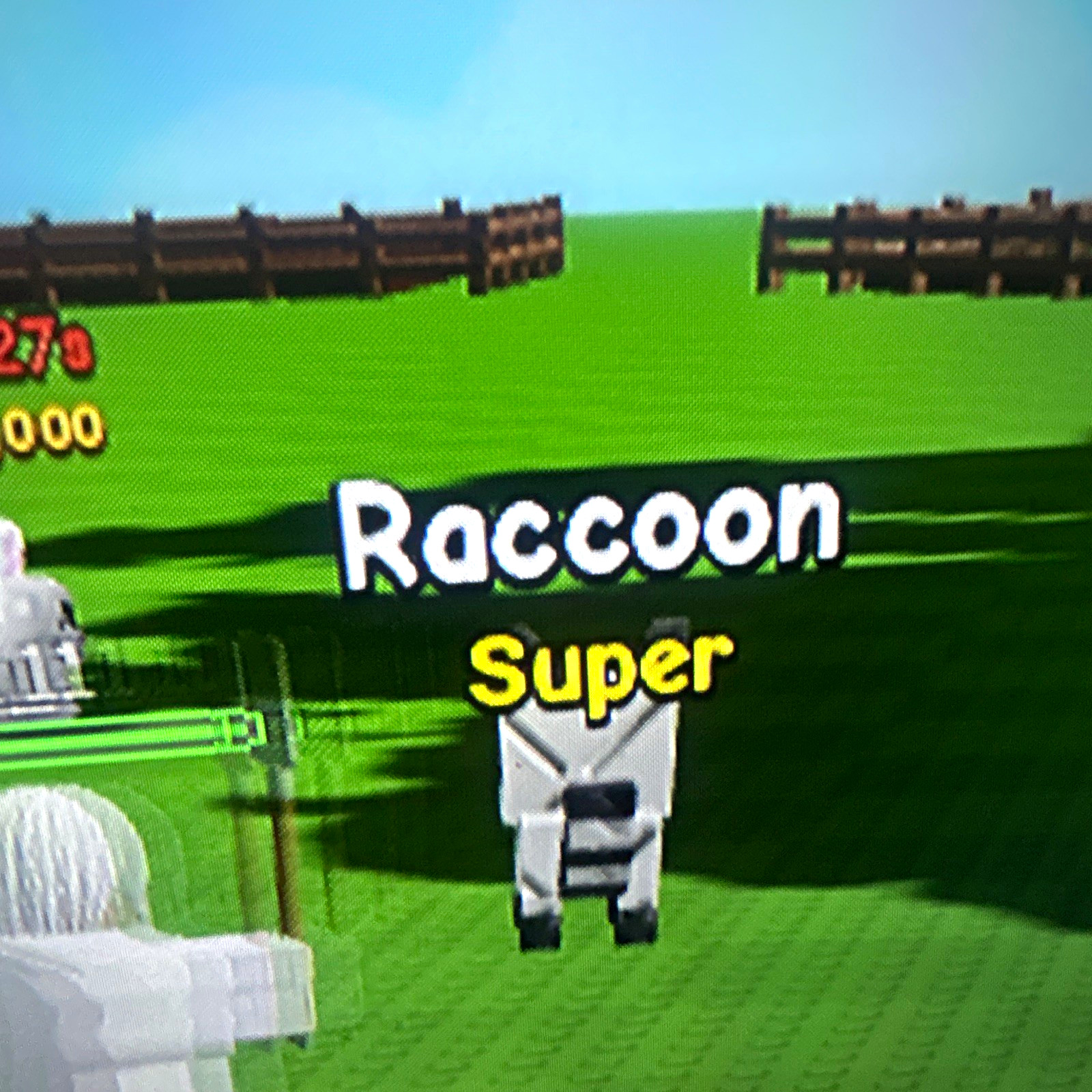 1X RACCOON FOR CHEAP AND INSTANT DELIVERY GROW A GARDEN 2